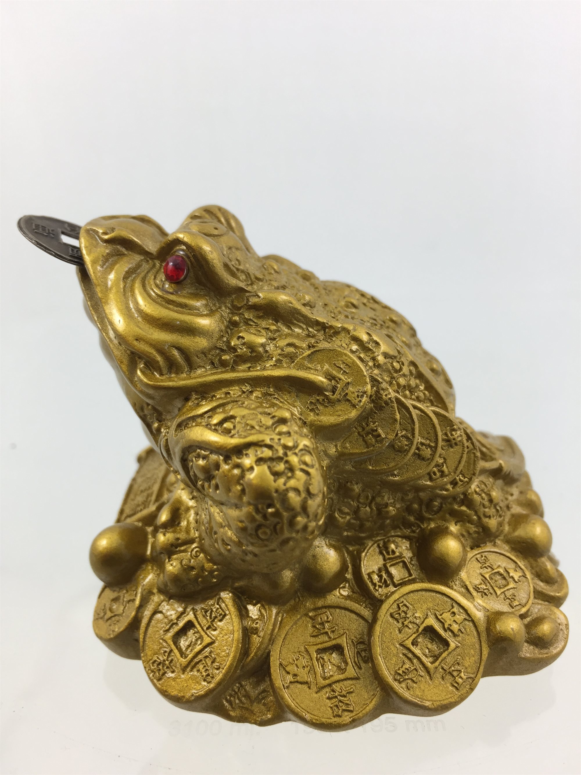 Lucky Frog Gold Colour